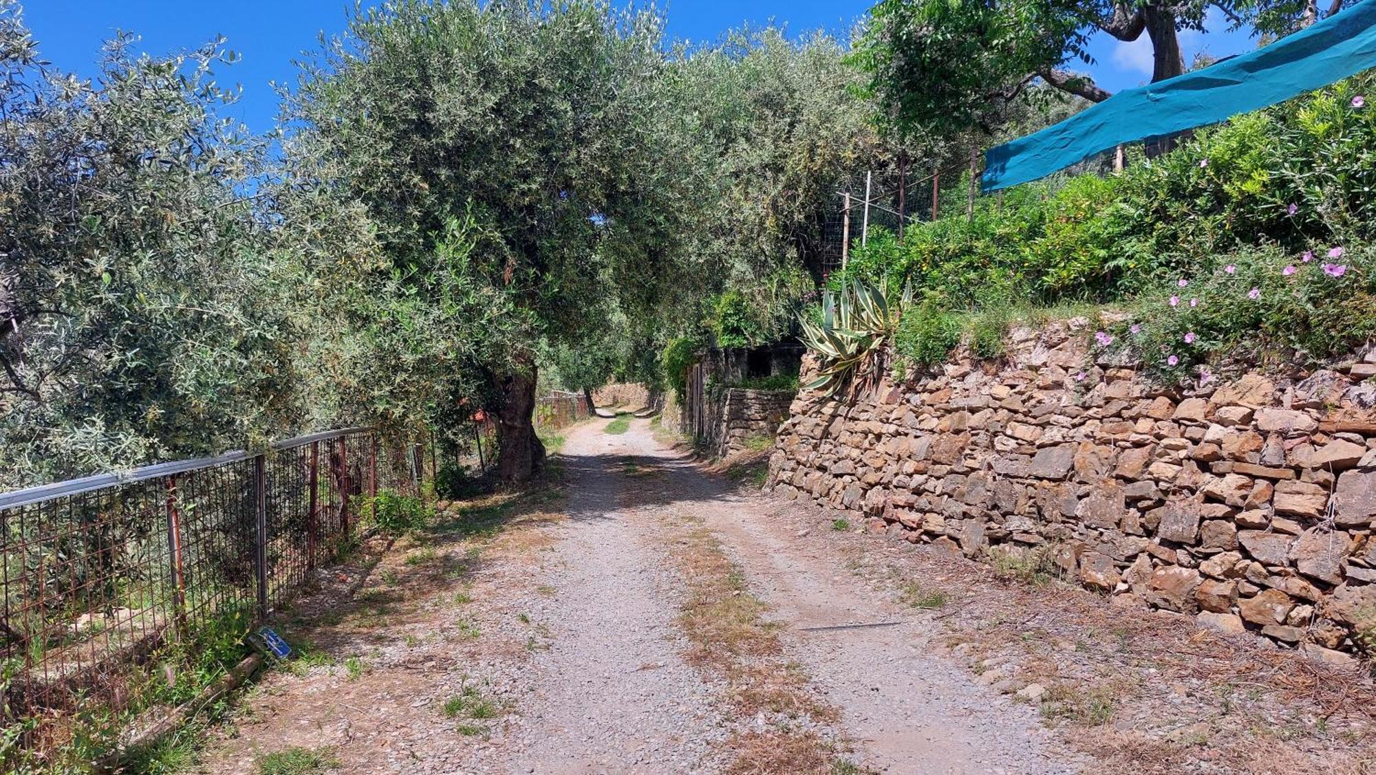 Il Nido Del Viaggiatore Vallebona Экстерьер фото